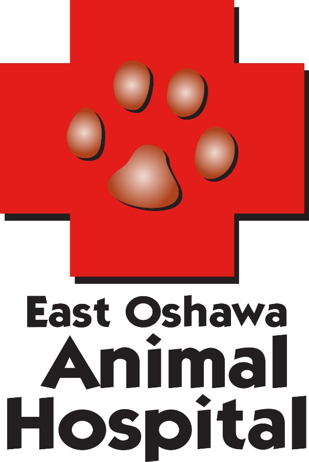 East Oshawa Animal Hospital